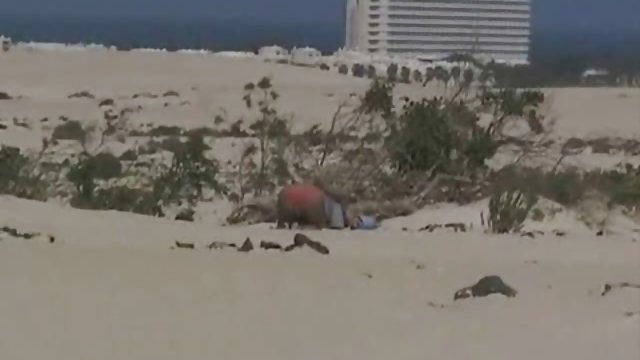 من زبان خود را به پایین به خواهر زرق و برق من در قانون من قرار داده است