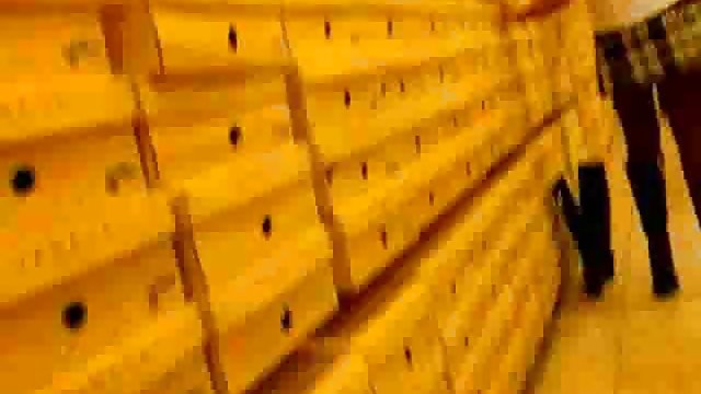 راشل استار با الاغ خود در وب کم بازی می کند